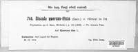 Image Associated With the Occurrence
